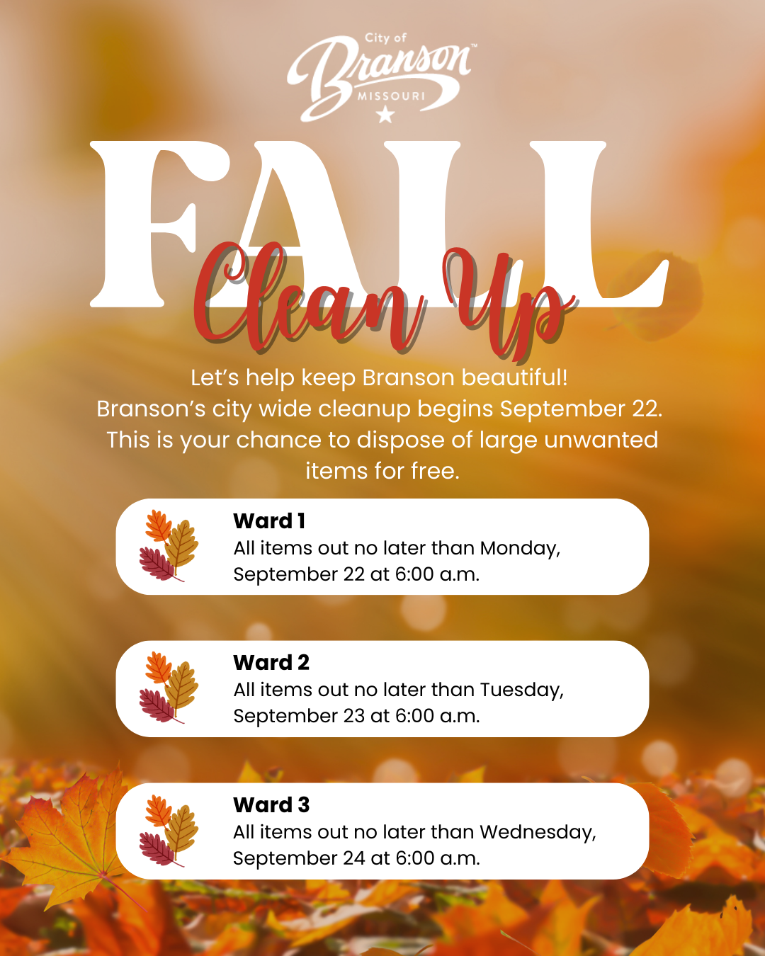 Fall Clean Up 2025
